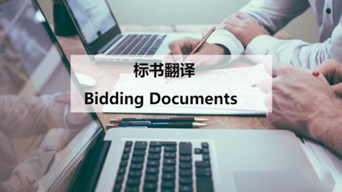 標(biāo)書翻譯服務(wù) 專業(yè)助力企業(yè)競(jìng)標(biāo)國際化