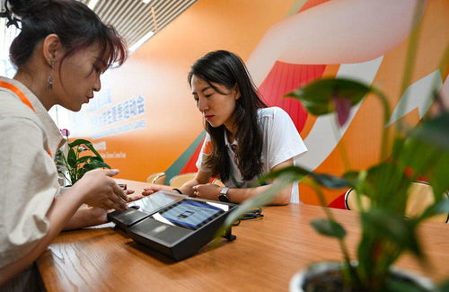 Exploring Technological Innovation in the Host City of the Universiade: A Journey through Chengdu